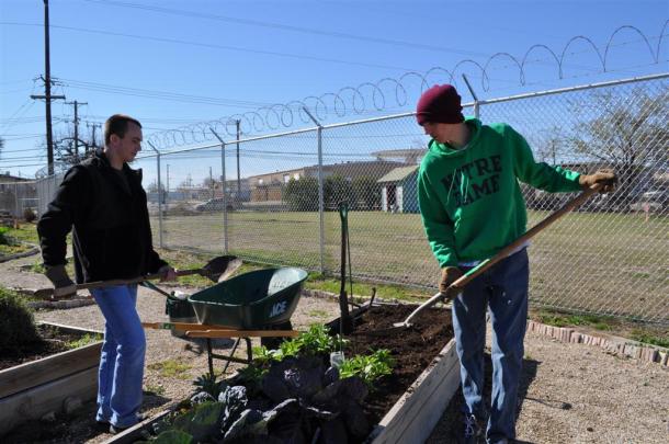 ILPS Students Preparing Vegetable Beds For Spring
